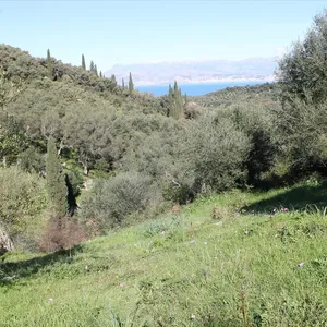 Земельный участок в Corfu, фото 3