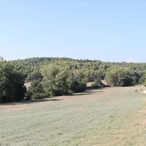 Земельный участок в Kassandra Municipality, фото 3