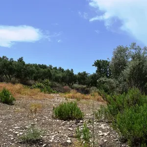Земельный участок в Kouloukonas, фото 4
