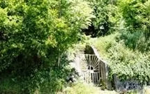 Земельный участок в Доброта