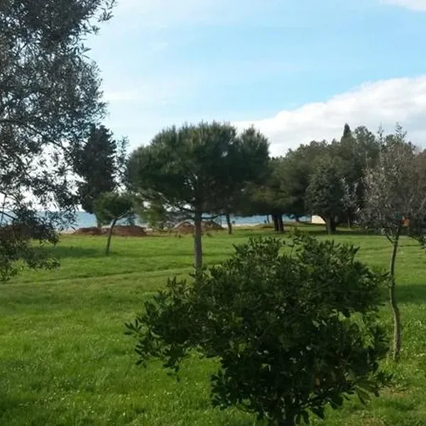Отдельный дом в Фажана, фото 1