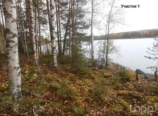 Земельный участок в Савонранта