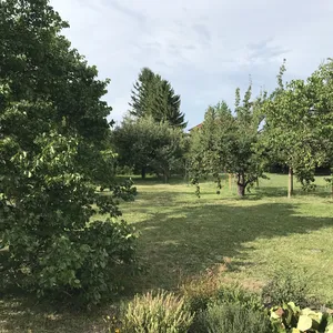 Отдельный дом в Кестхей, фото 3