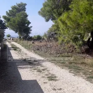 Земельный участок в Вир, фото 3