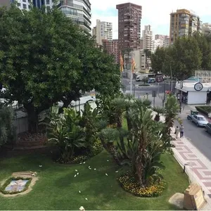 Квартира в Бенидорм, фото 4