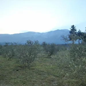 Земельный участок в Литохоро, фото 3