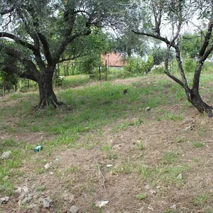 Земельный участок в Corfu, фото 3