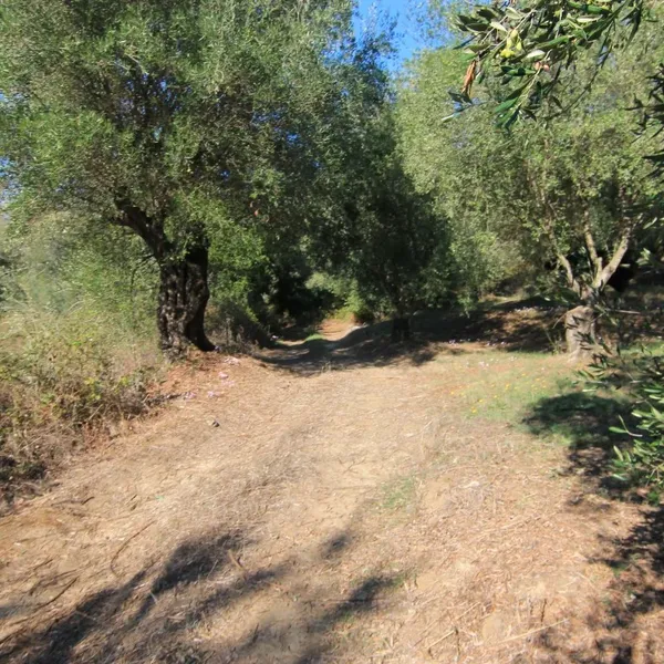 Земельный участок в Corfu, фото 1