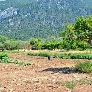 Земельный участок в Loutraki - Perachora, фото 3