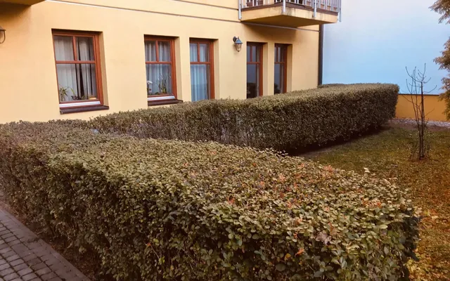 Квартира в Шопрон