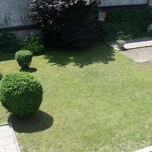 Отдельный дом в Шишка, фото 4