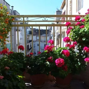 Квартира в Аристотелус, фото 2