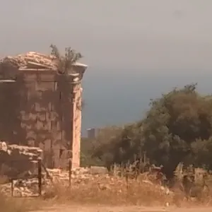 Земельный участок в Провинция Мерсин, фото 3