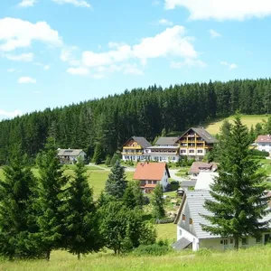 Отель в Айзенбах (Верхний Шварцвальд), фото 4