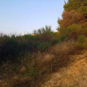 Земельный участок в Ситониа, фото 3