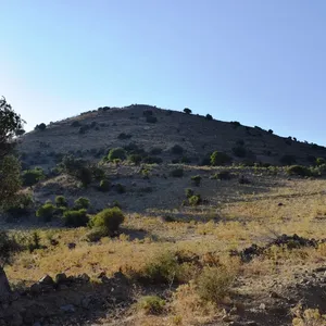 Земельный участок в Лампи/Ламби, фото 4