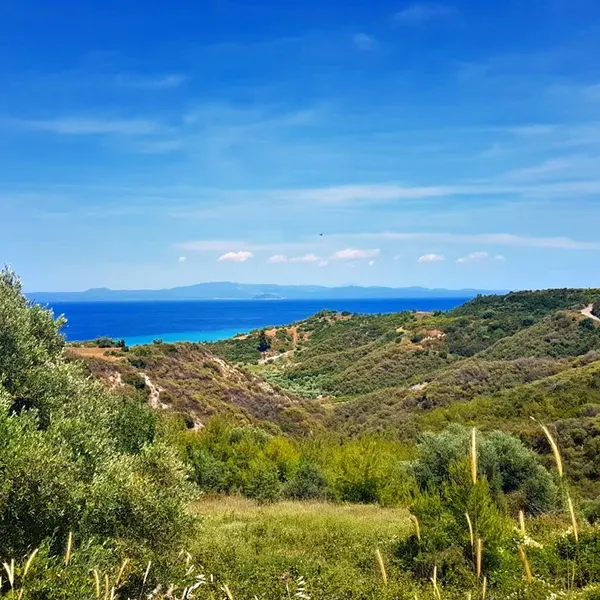 Земельный участок в Kassandra Municipality, фото 1