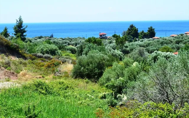 Земельный участок в Kassandra Municipality