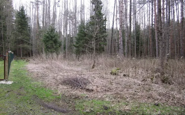 Земельный участок в Лауласмаа