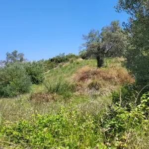 Земельный участок в Kassandra Municipality, фото 3