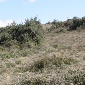 Земельный участок в Вир, фото 2