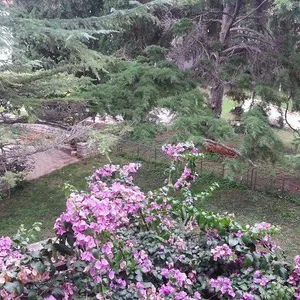 Отдельный дом в Медулин, фото 4