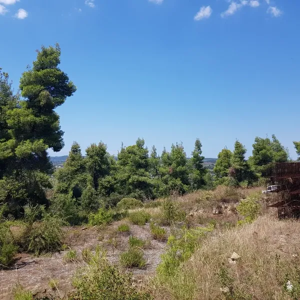 Земельный участок в Kassandra Municipality, фото 1