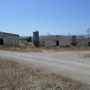 Земельный участок в Мегара, фото 3