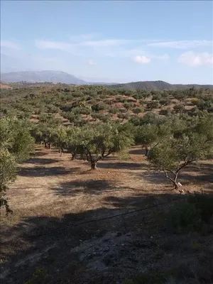 Земельный участок в Амаринтос