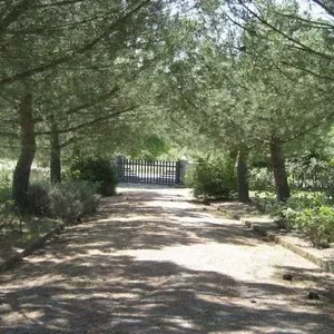 Квартира в Кьюзи, фото 5