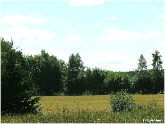 Земельный участок в Сыйтме
