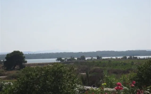 Квартира в Ла Мата