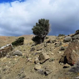 Земельный участок в Лампи/Ламби, фото 5