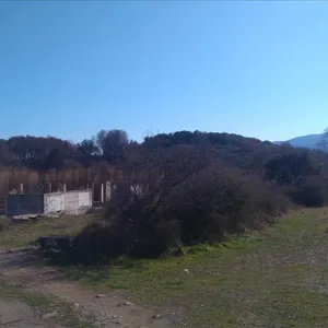 Земельный участок в Aristotle University of Thessaloniki, фото 4