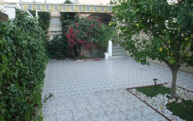 Квартира в Торревьеха