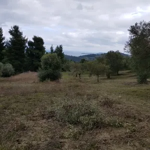Земельный участок в Kassandra Municipality, фото 4