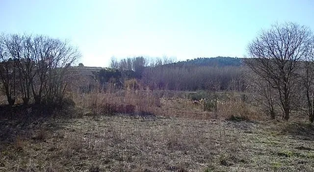 Земельный участок в Тереса де Кофрентес