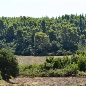 Земельный участок в Kassandra Municipality, фото 5