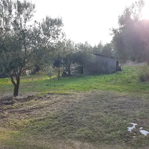 Земельный участок в Kassandra Municipality, фото 2