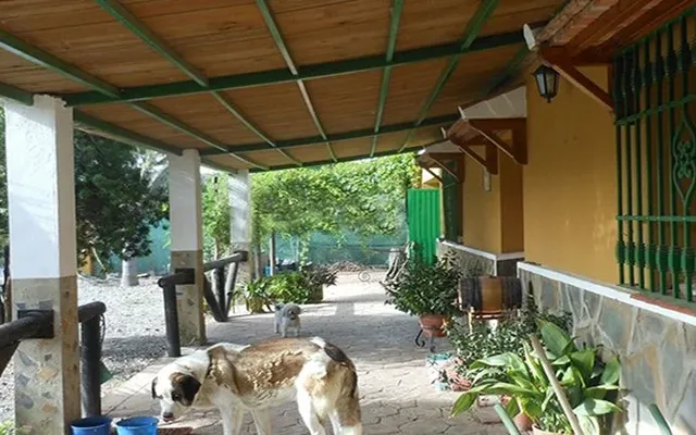 Отдельный дом в Касарес