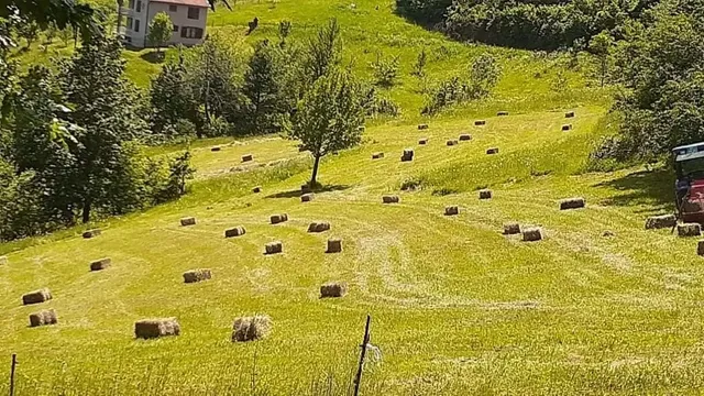 Земельный участок в Мойковац