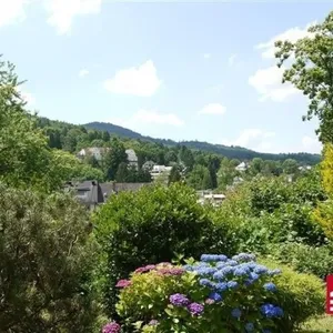 Квартира в Баден-Баден, фото 5