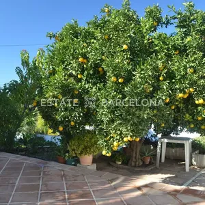 Отель в Малага, фото 5