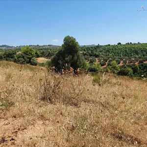 Земельный участок в Kassandra Municipality, фото 2