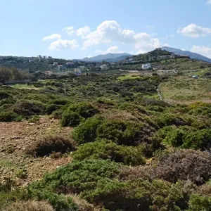 Земельный участок в Гази, фото 4