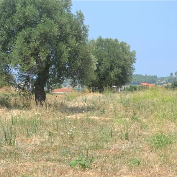 Земельный участок в Kassandra Municipality, фото 1