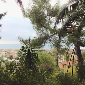 Вилла в Бордигера, фото 5