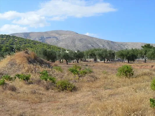 Земельный участок в Anavissos Municipal Unit