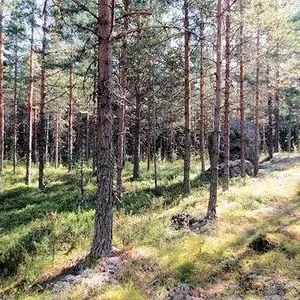 Земельный участок в Пуумала, фото 4