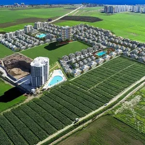 Квартира в Искеле, фото 4